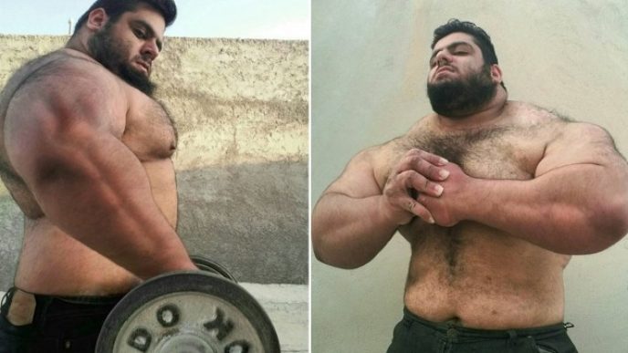 Iransky herkules.png