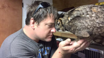 Rescue owl hugs man gigi douglas pojeky 3.jpg
