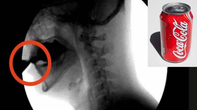 A1e05ee2564dbf16b04f09a23d482d06 800x400.jpg