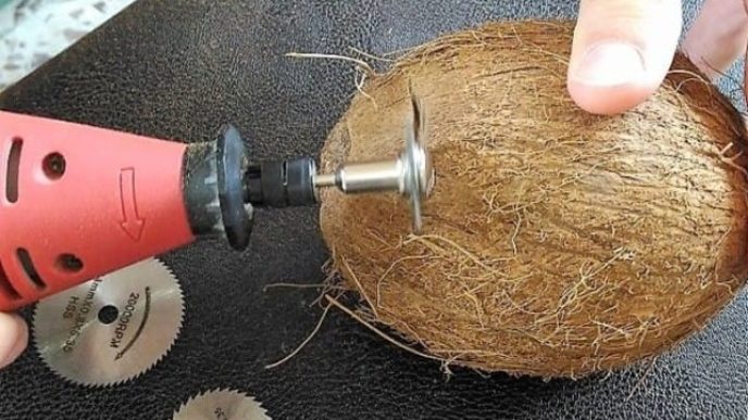 Hangingcoconutplanters_c 600x687.jpg