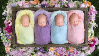 Identical quadruplet newborn photography baby photoshoot noelle mirabella 4.jpg