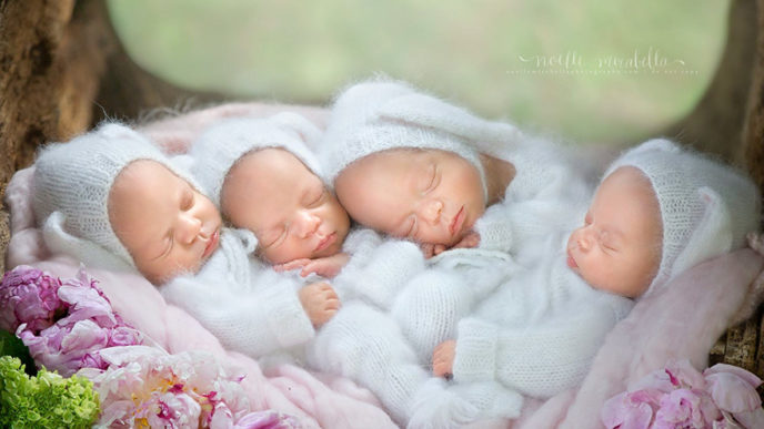 Identical quadruplet newborn photography baby photoshoot noelle mirabella 5.jpg