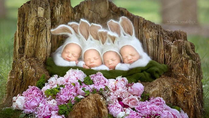 Identical quadruplet newborn photography baby photoshoot noelle mirabella 6.jpg