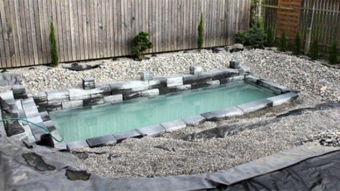 Natural swimming pool ds 1.png