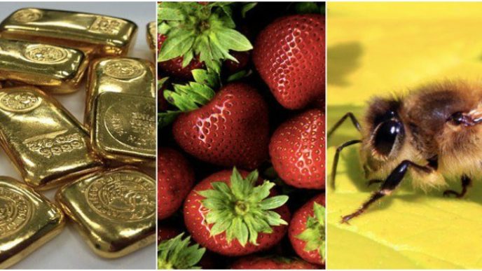 Befunky collagee.jpg