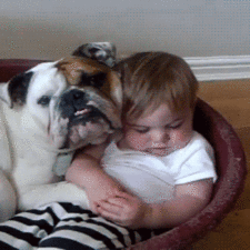 Funny kids sleeping anywhere 102 57a9eb5e485df__605.gif