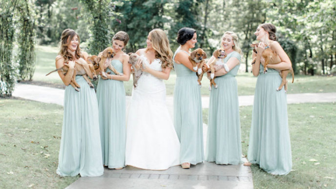 Wedding puppies instead flowers pensylvannia 1.jpg