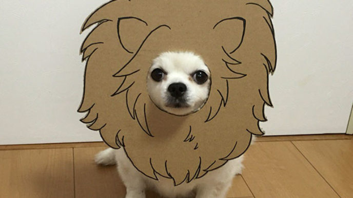 Dog costume cardboard cutouts myouonnin 45 580f544d443f9__605.jpg