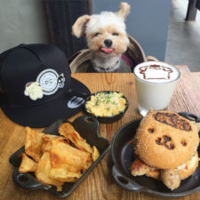 Rescue dog restaurants food instagram popeyethefoodie 39 5810582b1ce06__700.jpg