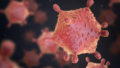 Virus