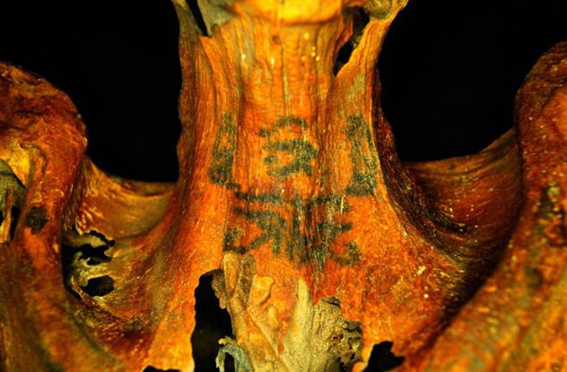 https://www.washingtonpost.com/news/morning-mix/wp/2016/05/26/researchers-find-unprecedented-cow-tattoos-on-3000-year-old-remains-of-egyptian-woman/