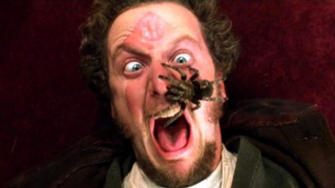 7277860 650 0ba408b2a7 1477323849 1.jpg