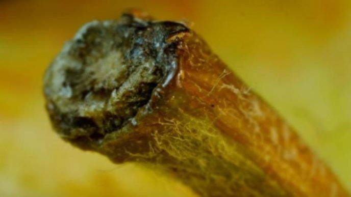 Horizon33_2016 11 10_9 35 20.jpg