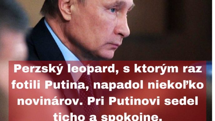 Perzsky leopard s ktorym raz fotili putina napadol niekolko novinarov. pri putinovi sedel ticho a spokojne..jpg