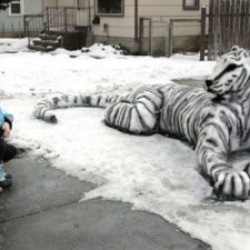 8. pruhovany tiger.jpg