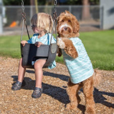 Foster child labradoodle dog book buddy reagan 18.jpg