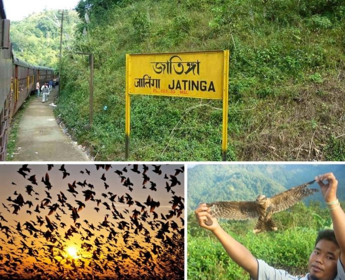 http://www.indialivetoday.com/jatinga-valley-mystery-luring-birds-death/8952.html