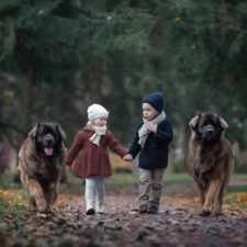 Little kids big dogs photography andy seliverstoff 23 584fa92aa10d2__880.jpg