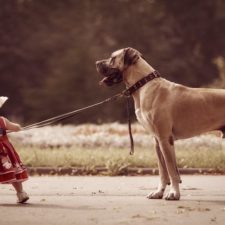 Little kids big dogs photography andy seliverstoff 24 584fa92ca8a9c__880.jpg