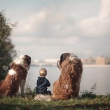 Little kids big dogs photography andy seliverstoff 58 584fa983309ed__880.jpg