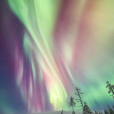 Forest Lapland by night
