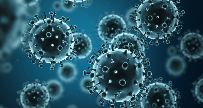 Influenza Virus H1N1