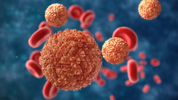 Zika virus in blood with red blood cells