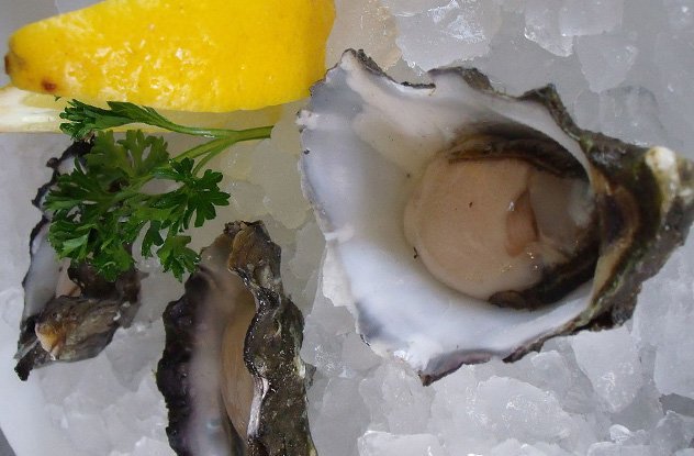 https://en.wikipedia.org/wiki/Oyster#/media/File:Oysters_served_on_ice,_with_lemon_and_parsley.jpg