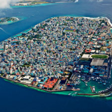 1. maldivy.jpg