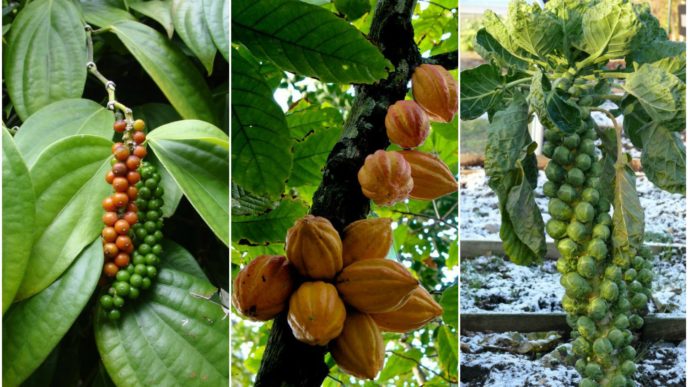 Befunky collage 37.jpg