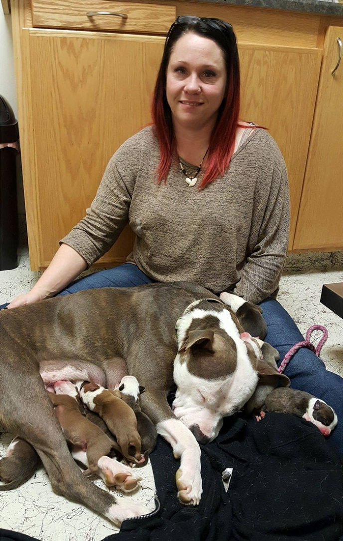Dog gives 11 puppies foster mom 1.jpg
