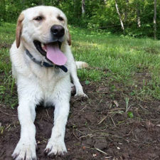 Man finds dog id tag dew adventures 6 1.jpg