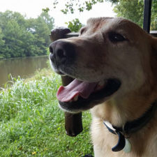 Man finds dog id tag dew adventures 7 1.jpg