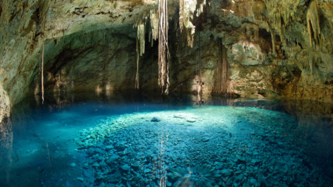 Sinkhole in Mexico with dangling vines