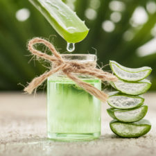 Aloe Vera Leaves