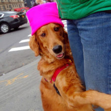 Dog gives hugs louboutina retriever new york 15.jpg