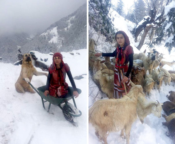 Girl dog rescue mother goat baby turkey 7.jpg