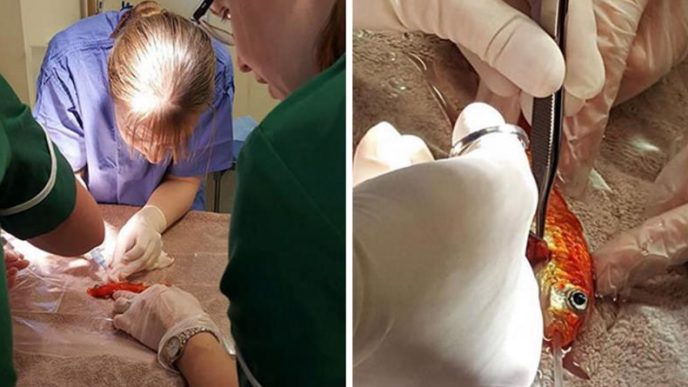 Horizon33_2017 2 13_12 13 28.jpg