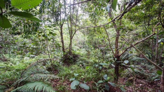 Horizon33_2017 2 13_12 48 10.jpg