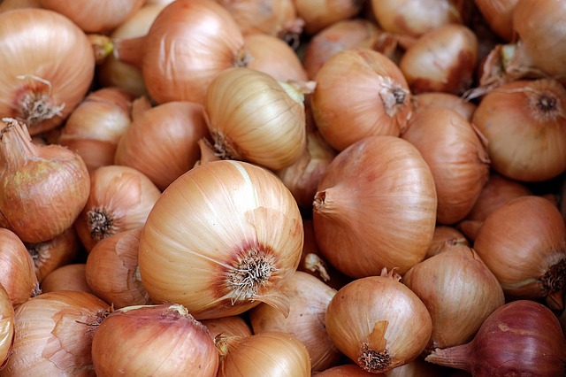 Onions 1397037_640
