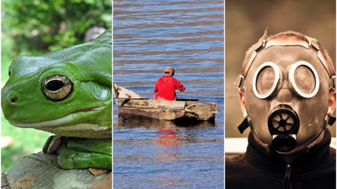 Befunky collage 7.jpg