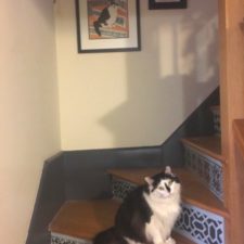 Life imitating art 10 850x1133.jpg