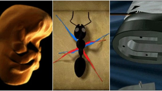 Ako funguju veci.jpg