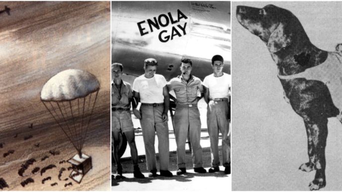 Befunky collage 38.jpg