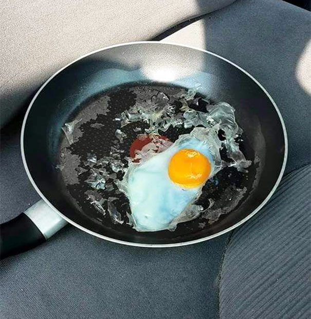 Fried egg experiment parked car dont leave dogs hot weather 3 5924258a02830__605.jpg