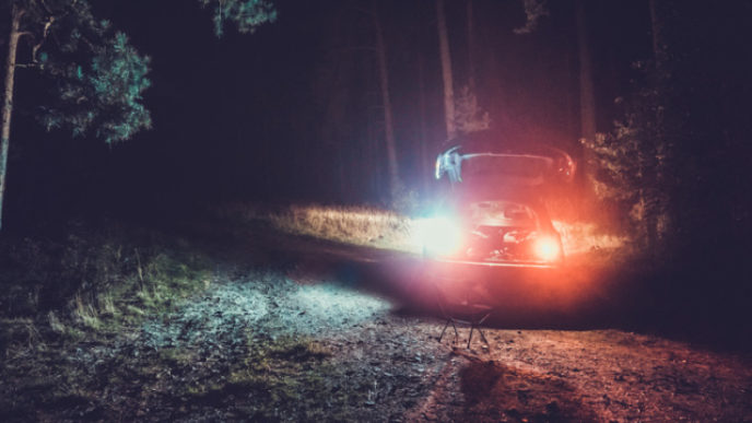 Tailights from car with open trunk in forest