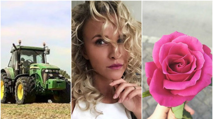 Befunky collage 3 6.jpg