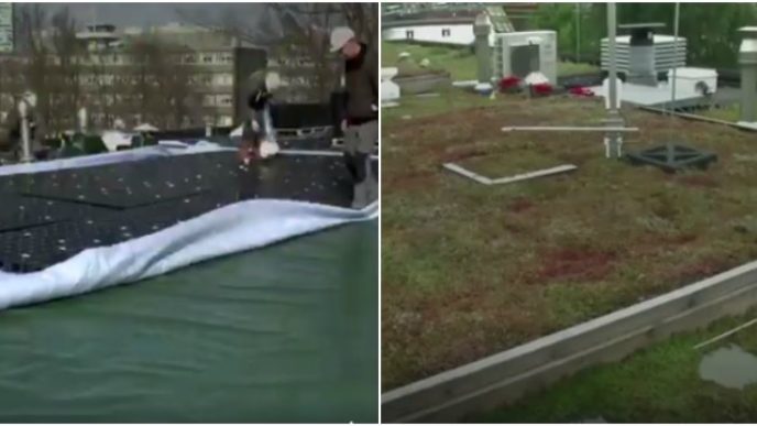 Befunky collages.jpg