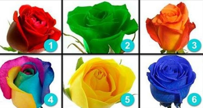 Roses 1.jpg