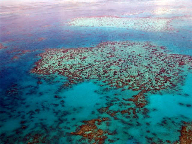 Velka koralova bariera pixabay.jpg